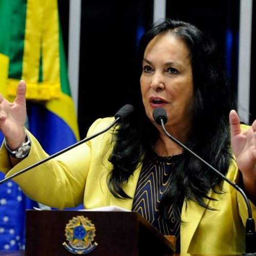 Rose de Freitas defende prioridade no orçamento para saúde e educação