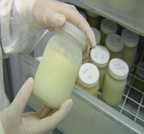 Banco de Leite da Santa Casa precisa de doações