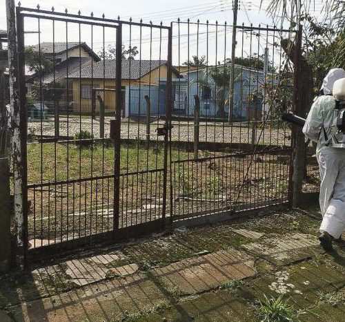 Dengue: casos autóctones em Porto Alegre aumentam 90% em uma semana