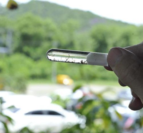 RS já tem 636 casos confirmados de dengue em 2019