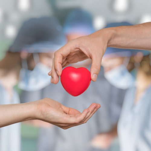 SUS oferece mais 3 medicamentos para jovens transplantados de fígado