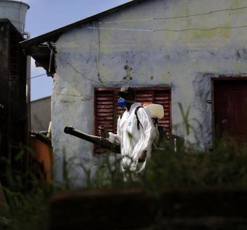 Porto Alegre registra 360 casos de dengue em 2019