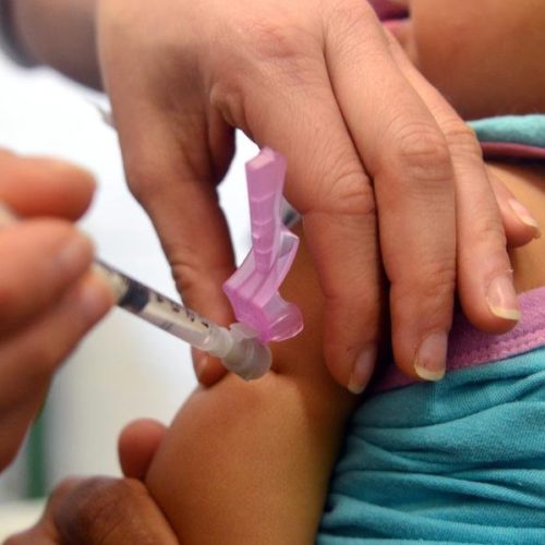 Mesmo sem receber o último lote, RS mantém vacina pentavalente em estoque