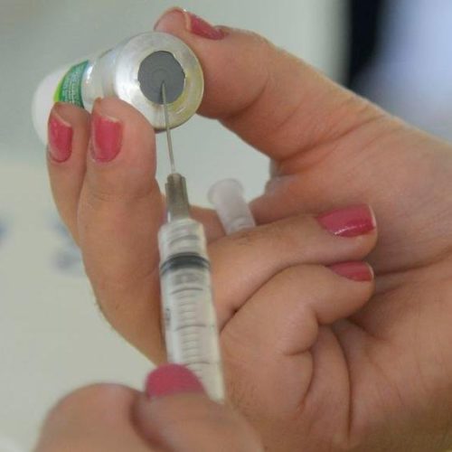 Vacina pneumocócica completa 10 anos no Brasil