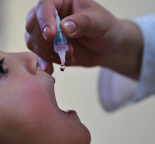 Por que o programa de vacinação brasileiro é considerado exemplar