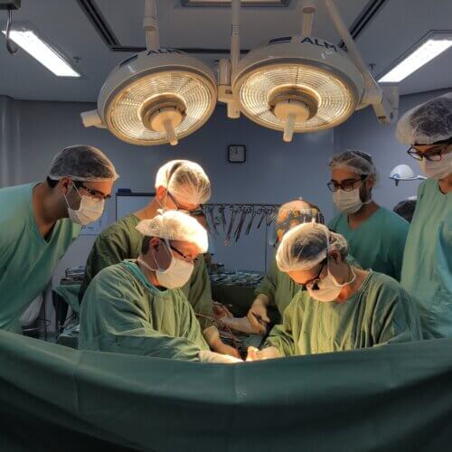 tx-figado-santa-casa-carol-fornasier3 Santa Casa registra aumento de 50% nos transplantes realizados em outubro